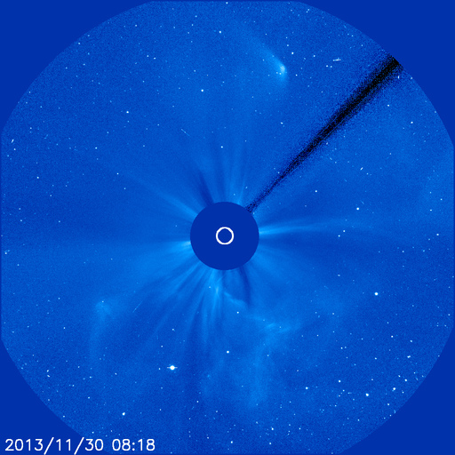 ison sopravisssuta