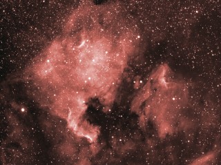 Nebulose nel Cigno